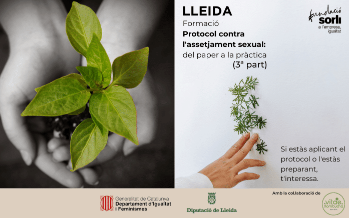 Formación práctica en Lleida. "El protocolo contra el acoso sexual: del papel a la práctica". Webinar + taller práctico.