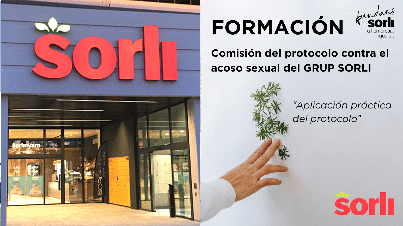 Comisión del protocolo contra el acoso sexual del GRUP SORLI