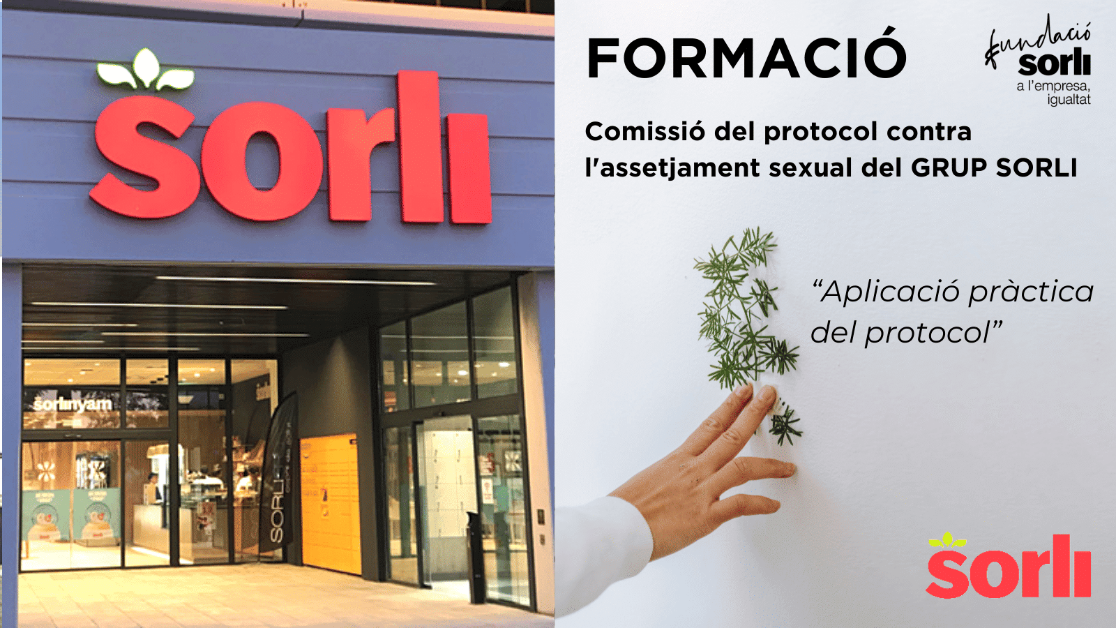 Comissió del protocol contra l'assetjament sexual del GRUP SORLI