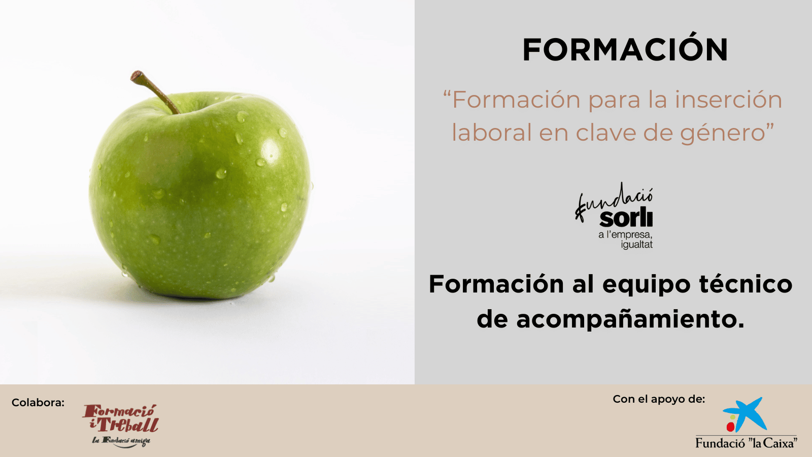 Formación al equipo técnico de acompañamiento.