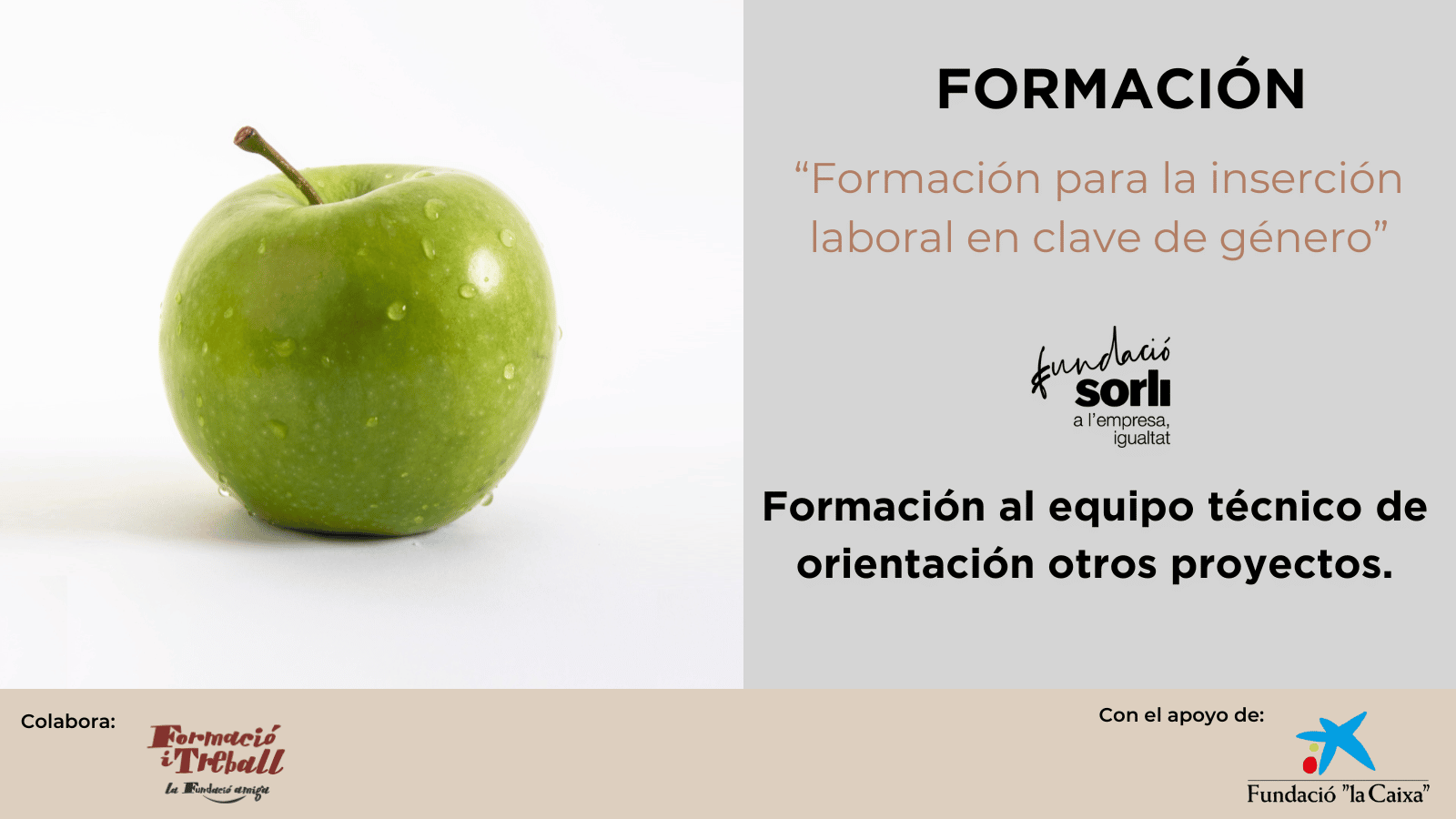 Formación al equipo técnico de orientación otros proyectos