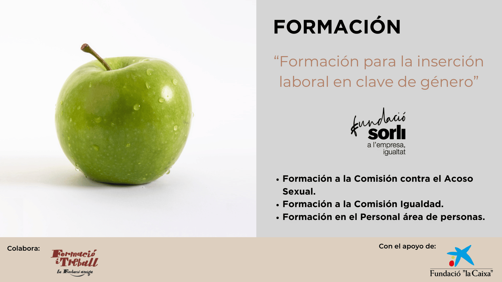 Formación en la Comisión Proyecto para la inserción laboral en clave de género