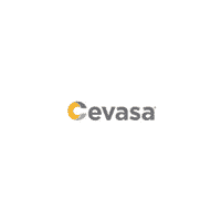 Cevasa Cevasa