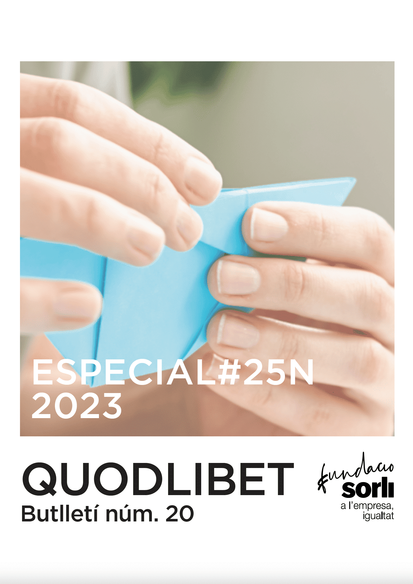 Butlletí especial 25N