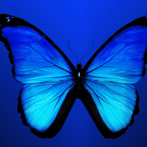 Prevenció assetjament sexual formació gratuita