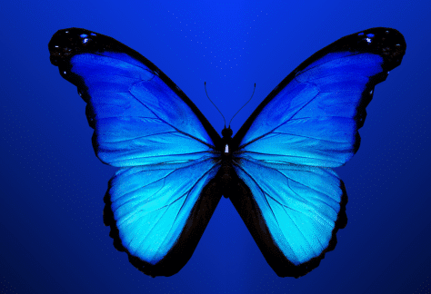 Prevenció assetjament sexual formació gratuita