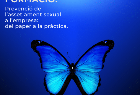 Prevenció de l’assetjament sexual a l’empresa- del paper a la pràctica. a reus